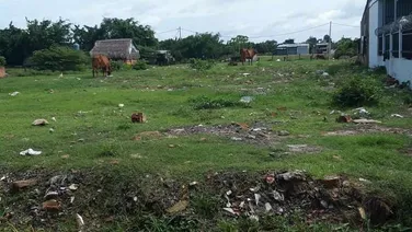 Bán rẻ đất vĩnh lộc A, bình chánh 20x50 SDR 9 tỷ 500tr