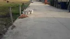 Bán Đất Thổ Cư 2 MT Đường Bê Tông, Mỹ Hạnh Nam, Sổ Hồng Riêng, Giá Mềm