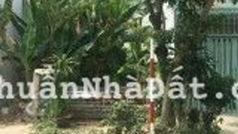Image post