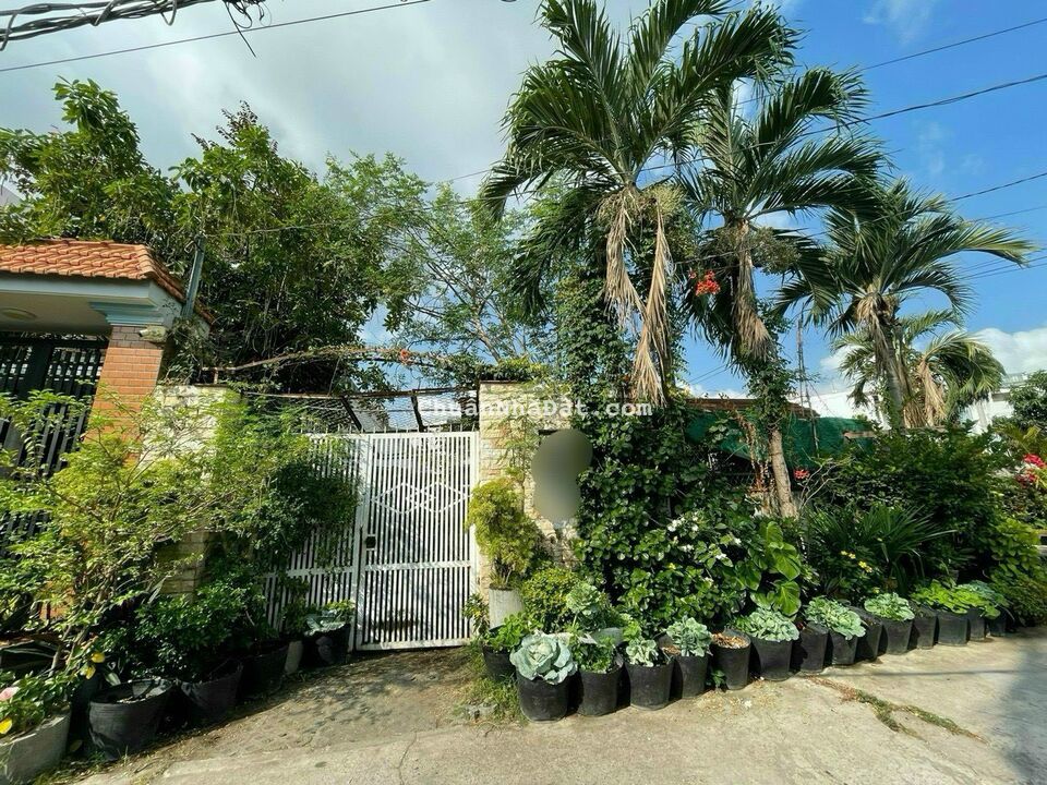 nhà DT 9,5x24m đường 49 phường Bình Thuận Q7, giá 25 tỷ TL