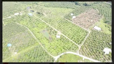 Đất nền nhà vườn Định Quán gần khu du lích Tropcal Glamping