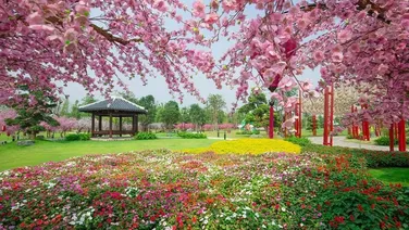 Chính chủ gửi bán 3 phòng ngủ SA5 75m2 giá 3,9 tỷ bao phí, tháng 10 nhận nhà Vinhomes Smart City