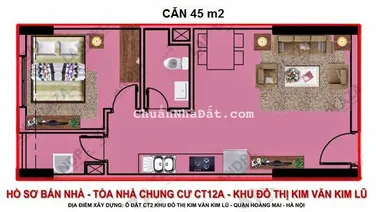 Chính chủ bán căn hộ 1 ngủ hướng Đông Nam, đã có sổ tại tòa CT12A KDT Kim Văn Kim Lũ
