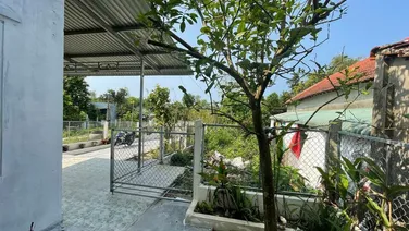 CẦN BÁN NHÀ VƯỜN THUỘC THÀNH PHỐ TAM KỲ RẺ HƠN THỊ TRƯỜNG 100 TRIỆU ĐẾN 200 TRIỆU