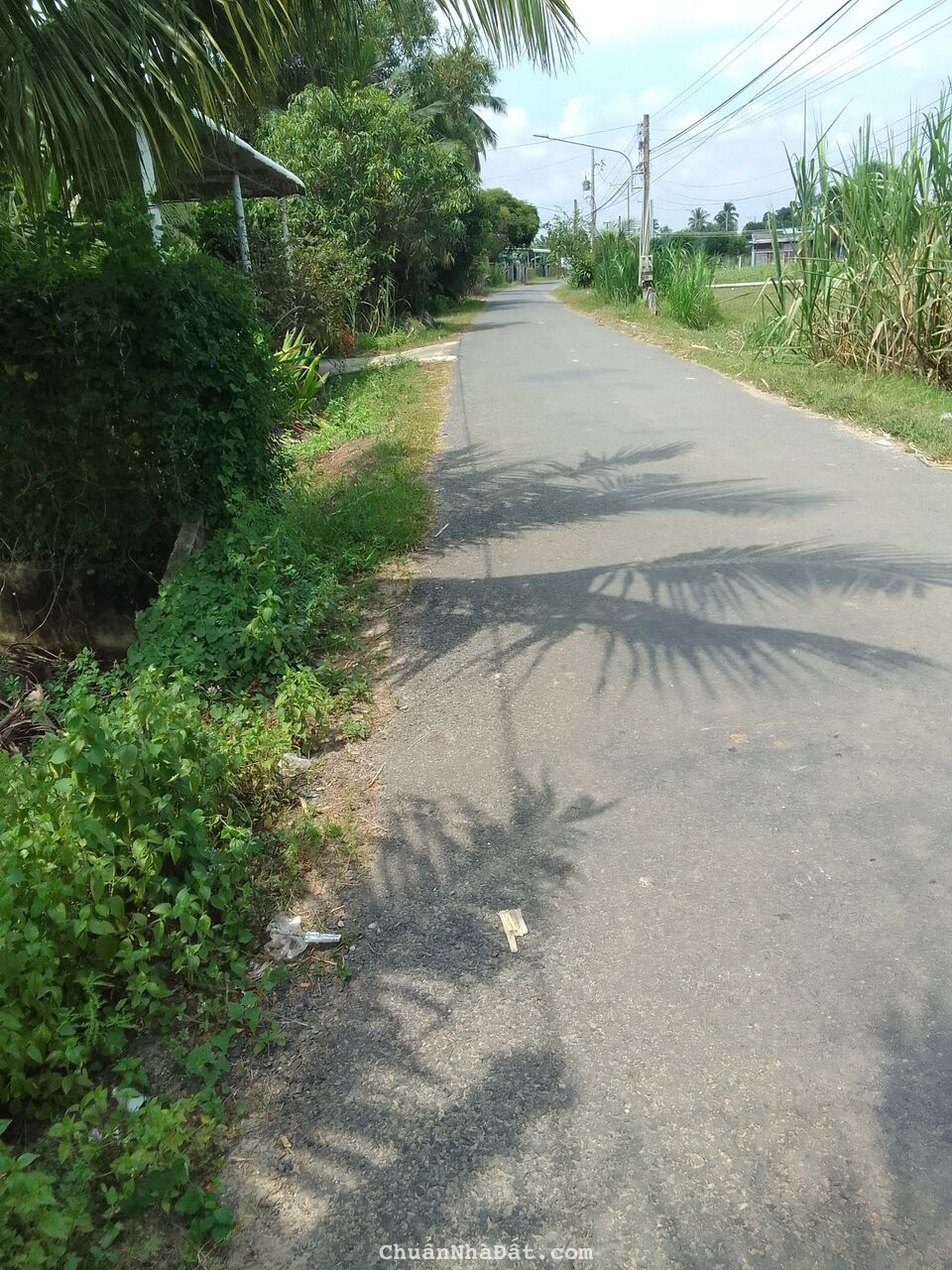 Chính chủ bán đất xã Trí Bình, huyện Châu Thành 332m2 giá 1 tỷ 4 có sổ riêng