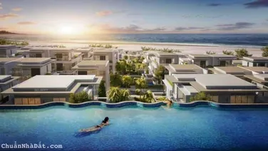 The SaeHaRa Bán Giai đoạn đầu Giá F0