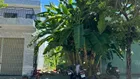 Bán đất Diệp Minh Châu 7,5m B1.14 nam Tri Phương Hoà Xuân Đà Nẵng rẻ