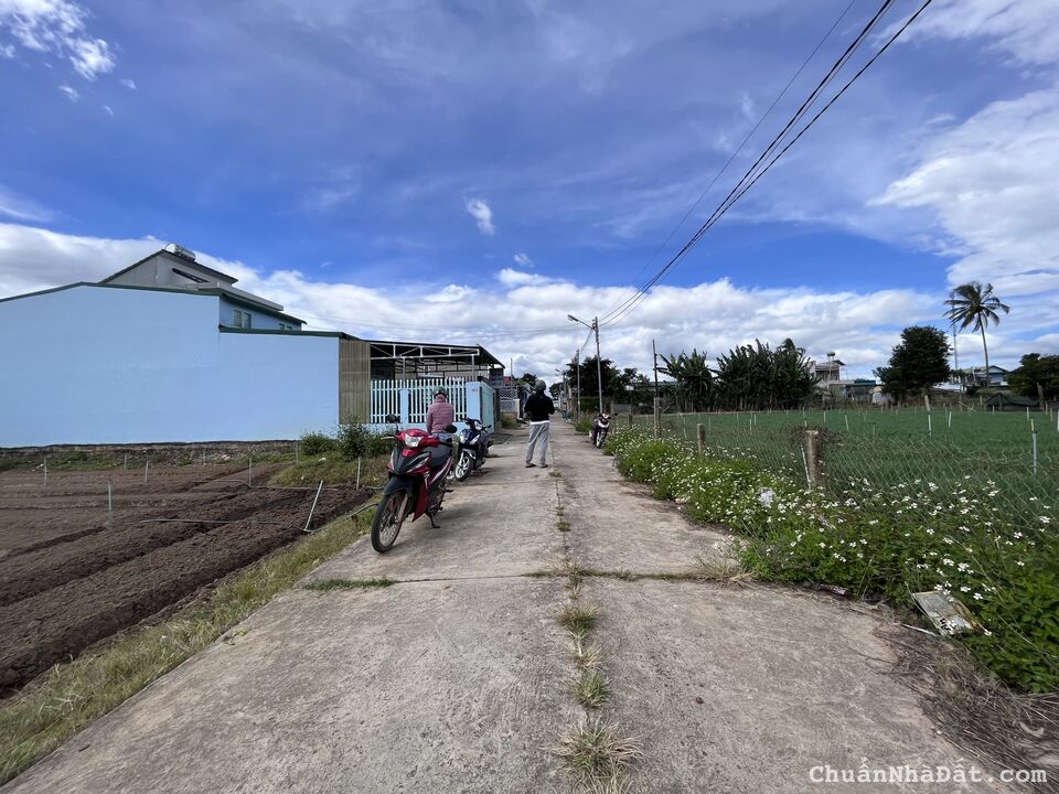 Bán 5x26m đất thổ cư hẻm Thống Nhất tại Phú Hội, Đức Trọng chỉ 1.399 tỷ