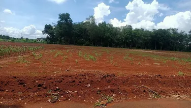 Đừng bỏ lỡ đất nền tuyệt đẹp ngay trung tâm Long phước - tp Bà rịa