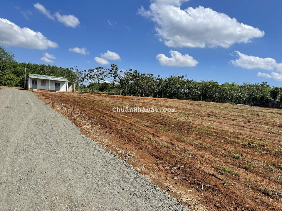 Đất nền thổ cư nằm sát ql13 vào 400m ở Lộc Ninh Bình Phước