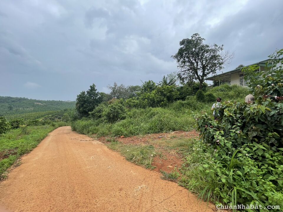 Hơn 1 Sào đất có thổ giá rẻ tại Xã đăkwer