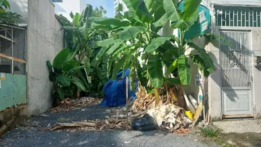 Sở Hữu Ngay Lô Đất Vàng Tại Khu Dân Cư Tạ Thị Ngọc Thảo, Phú Thuận, Quận 7 – Cơ Hội Không Thể Bỏ Lỡ