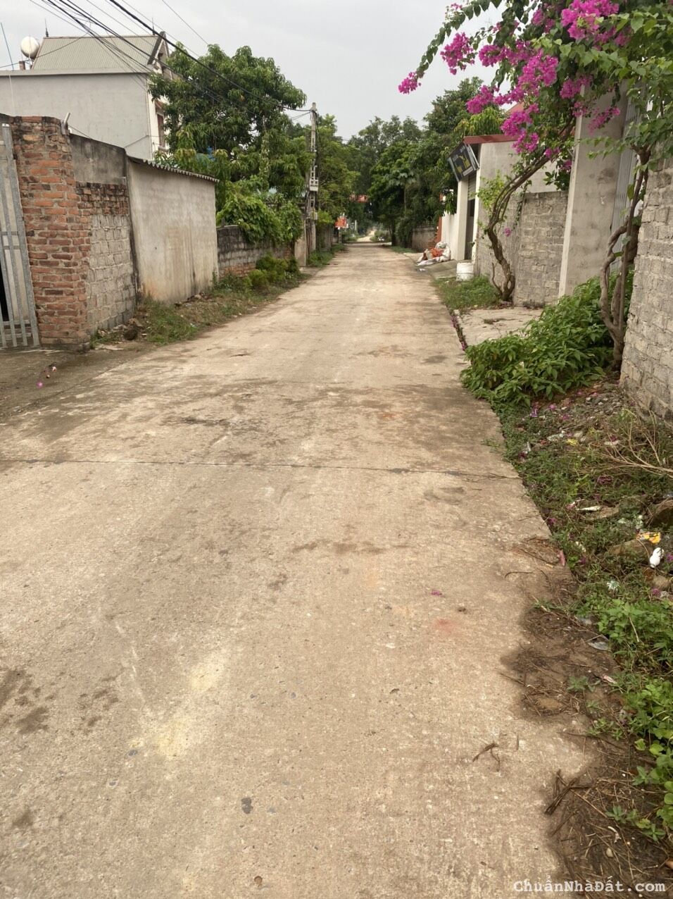 "Cần Bán Lô Đất Thổ Cư Tại Xã Bắc Lũng, Lục Nam  Bắc Giang, Cạnh Khu Công Nghiệp ."