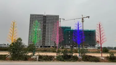 Bán Chung Cư (Nhà Ở Xã Hội Evergreen) Diện Tích 26, 30, 54, 61,62m2, TT Nếnh, Việt Yên.