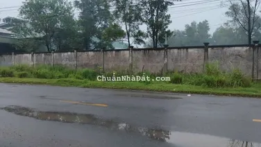 Cho thuê đất 2,5 hecta đường Chu Mạnh Trinh, phường Phước Tân giá tốt nhất chỉ 6.000 đồng/m2