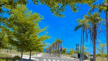 Bán nhanh lô đất liền kề Sân Bay Quốc Tế Cam Ranh- giá rẻ nhất thị trường