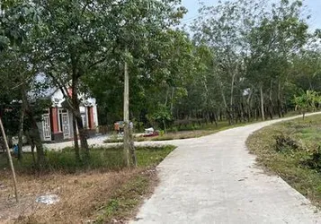 Em cần bán gấp lô đất ở Tân Quan - Hớn Quản, giá siêu đầu tư chỉ 300tr / 250m2