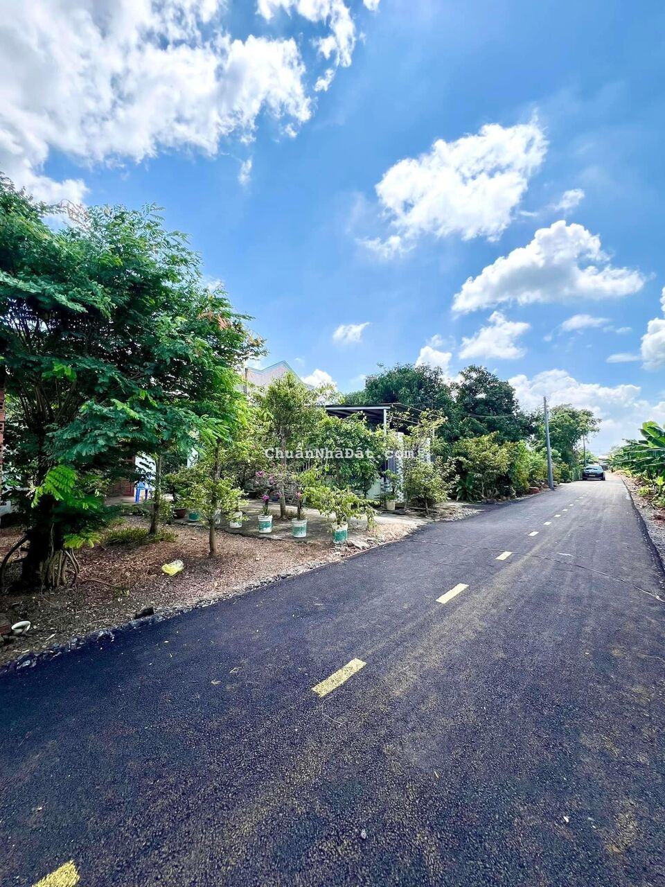 Đất sổ sẵn giá ngộp tại Bình Dương giá chỉ 3xx