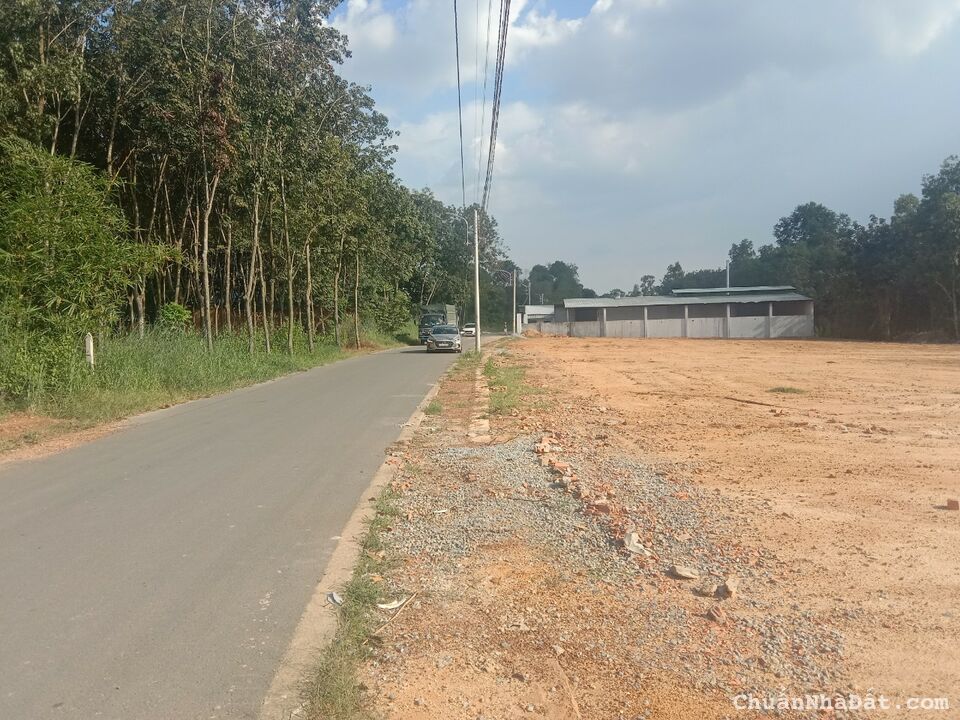 Bán Đất Bến Cát Bình Dương Giá Siêu Rẻ