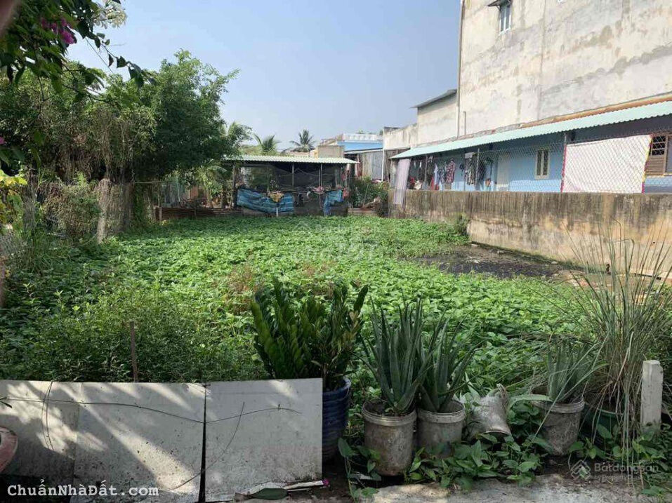 Nhà tôi kẹt tiền bán đất sổ sẵn, gần Chợ Đệm 300m, đường Nguyễn Hữu Trí, Tân Túc, 748tr/87m2, XDTD