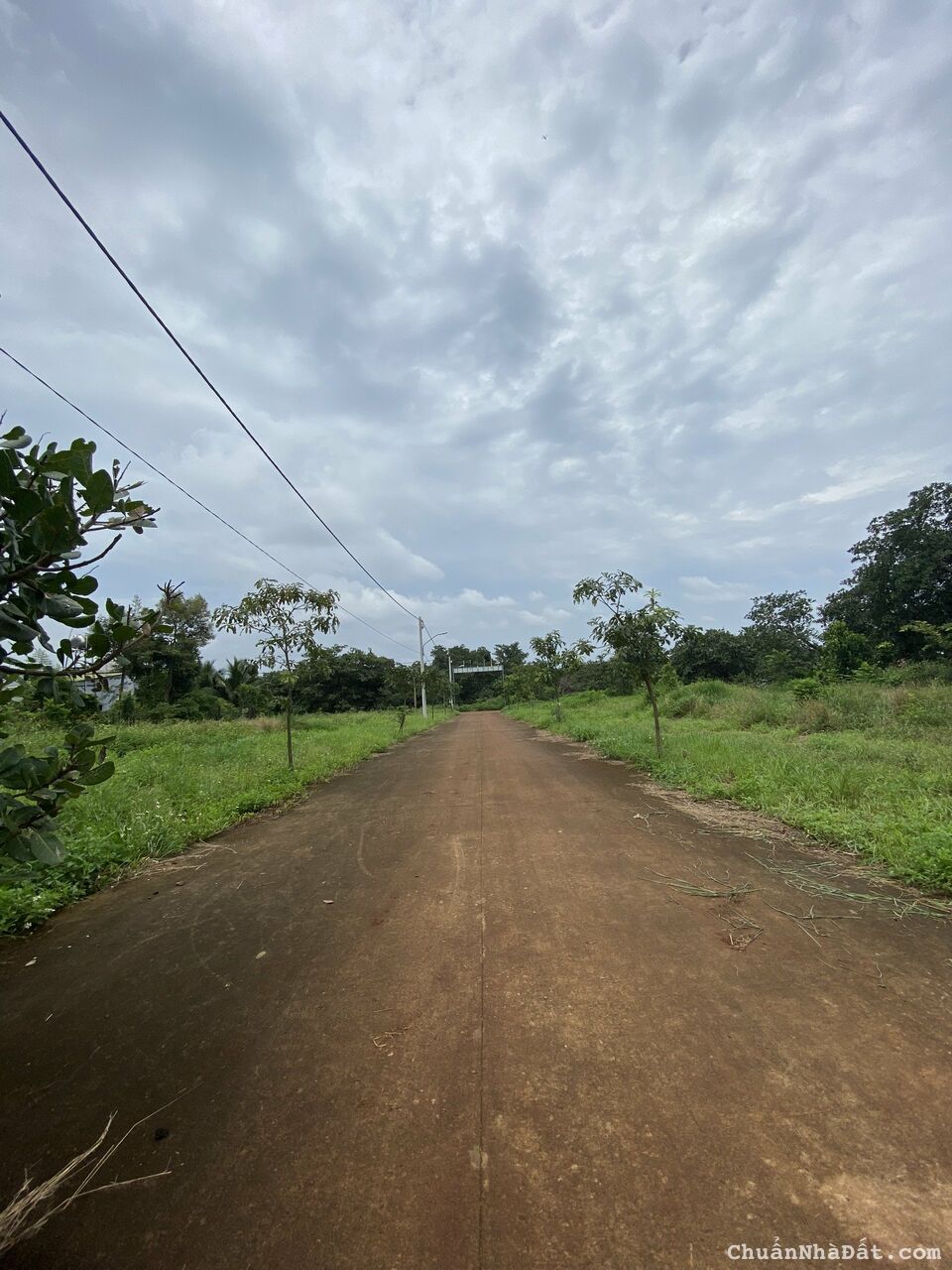 Chị gái cần tiền bán gấp lô đất Bình Phước