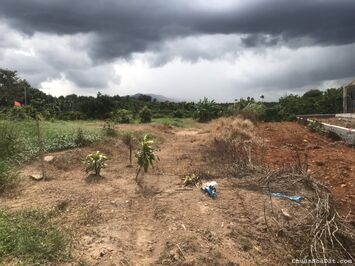 Bỏ Phố về Vườn đất nền Bảo Lộc-Lâm Đồng 2022 giá cực rẻ