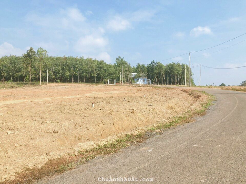 ĐẤT NỀN THỔ CƯ LỘC THIỆN, LỘC NINH, BÌNH PHƯỚC