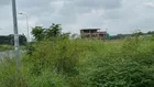 Tôi cần bán lô đất 250m2 khu dự án thái sơn 1