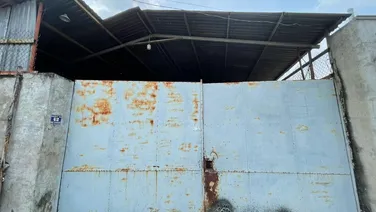 Cần bán Kho, nhà Xưởng 733m2, cách đường Hoàng Hữu Nam 200m, giá 26 tỷ