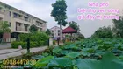 Bán đất tặng biệt thự đẹp ven hồ sen rất chill chill.
