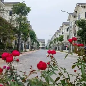 Bán nhanh căn Villa 135m2 sân vườn thoáng mát trong kđt Centa City Từ Sơn.