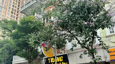 Nhà mặt phố Lạc Long Quân 40m2 x 5 tầng giá 33 triệu/tháng