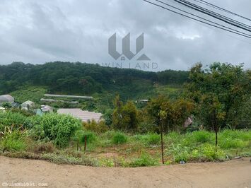 Đất nông nghiệp view đồi thông thôn Đa Thọ, xã Xuân Thọ