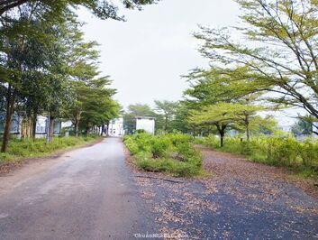 Cần bán đất nền lô góc diện tích 147.5m2 Dự án Thời Báo Kinh Tế, Phường Phú Hữu, quận 9