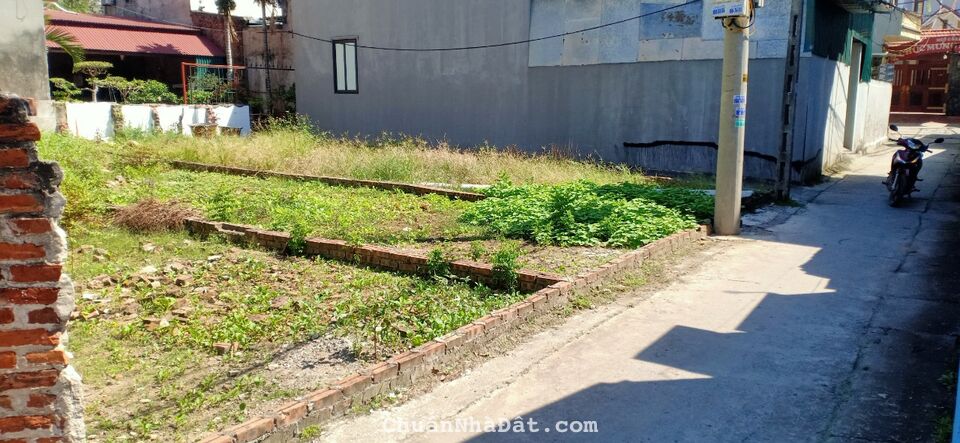 Chính chủ em cần bán đất tại thôn Ngọc. LH 0339799574