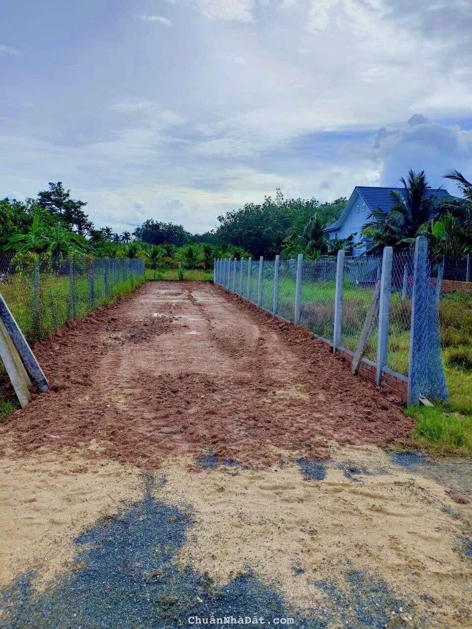 Đất Gò Dầu cách An Sương 35km - Vị trí đẹp - Sổ hồng riêng 