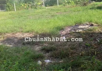 Làm việc chính chủ không qua trung gian !