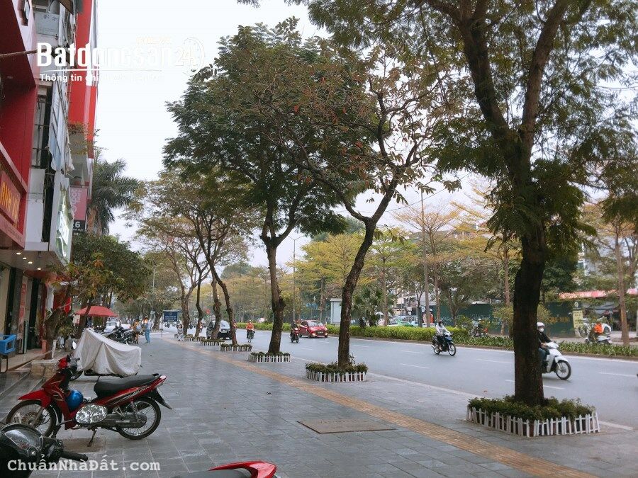 Thu hồi vốn nhượng lại 212m2 đất phố Nguyễn Khánh Toàn, Cầu Giấy, MT8m Giá 72 tỷ