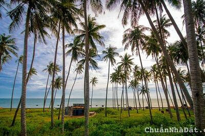 Bán lô đất nền ven biển Tuy Phong Bình Thuận nhiều tiềm năng tăng giá cao