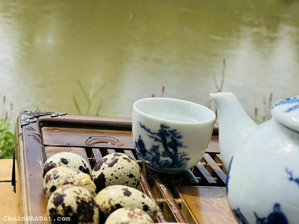 Sở hữu vườn cây rộng 710m2 giáp sông Chò chỉ với 249 triệu 