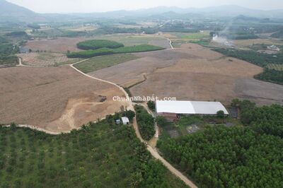 Đất vườn QH thổ xã Khánh Trung - Khánh Vĩnh giá rẻ chỉ 199 triệu một lô hơn 700m2