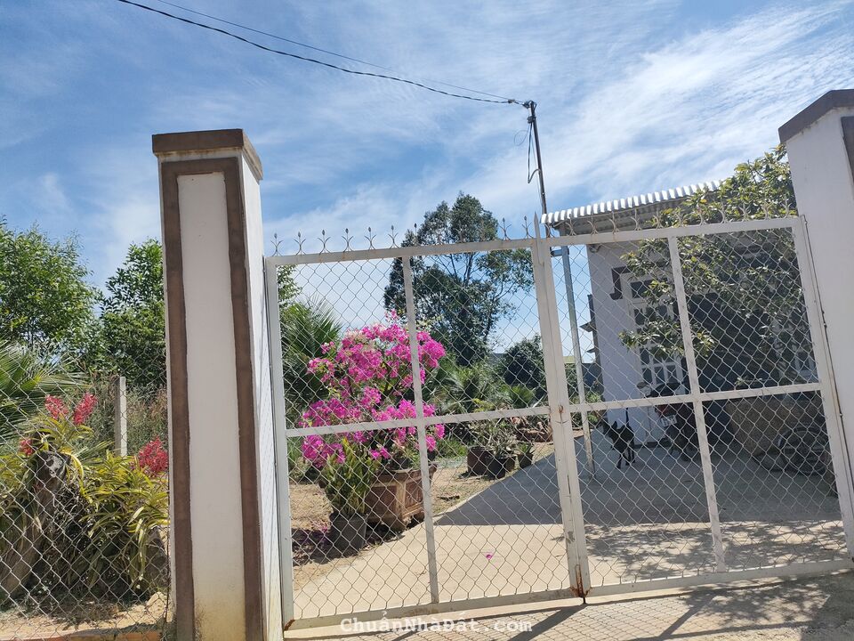 {GẤP} Bán lỗ 200tr lô đất ở ngay gần chợ, trường học La Ngà, đường ô tô tải