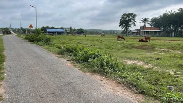 Đất Ngộp Giá Rẻ Ấp 4, Bàu Đồn, Gò Dầu, Tây Ninh