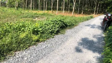 Bán Đất Gò Dầu Giá Rẻ Gần KCN Hiệp Thạnh, Gò Dầu, Tây Ninh. Hậu Dài Giá Rẻ