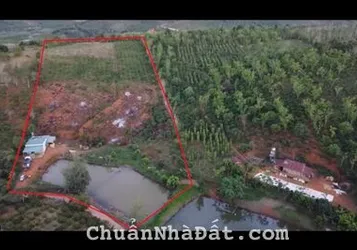 Chính chủ cần bán đi lô đất 1hec6, tại Quảng Sơn, Daknong, đã có một căng nhà cấp 4 trên đất