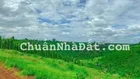 Chính chủ ra nhanh lô đất tại Lộc An - Bảo Lộc giá thấp nhất thị trường