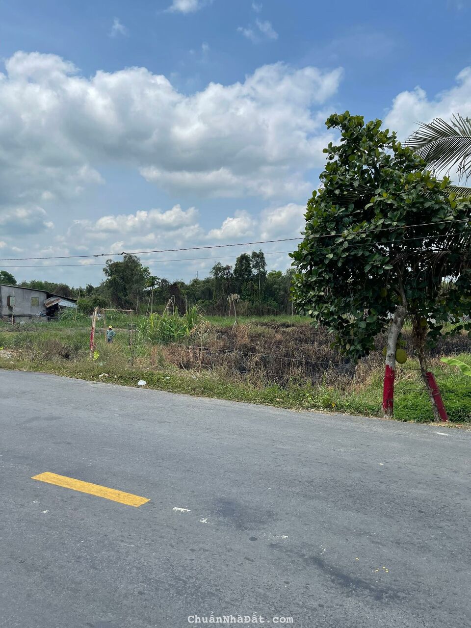 Bán Đất 1696M2 Có 139M2 Thổ,19Mx84M,Mặt Tiền ĐT829 Tân Thạnh Long An cách tiểu học tân hòa 150m