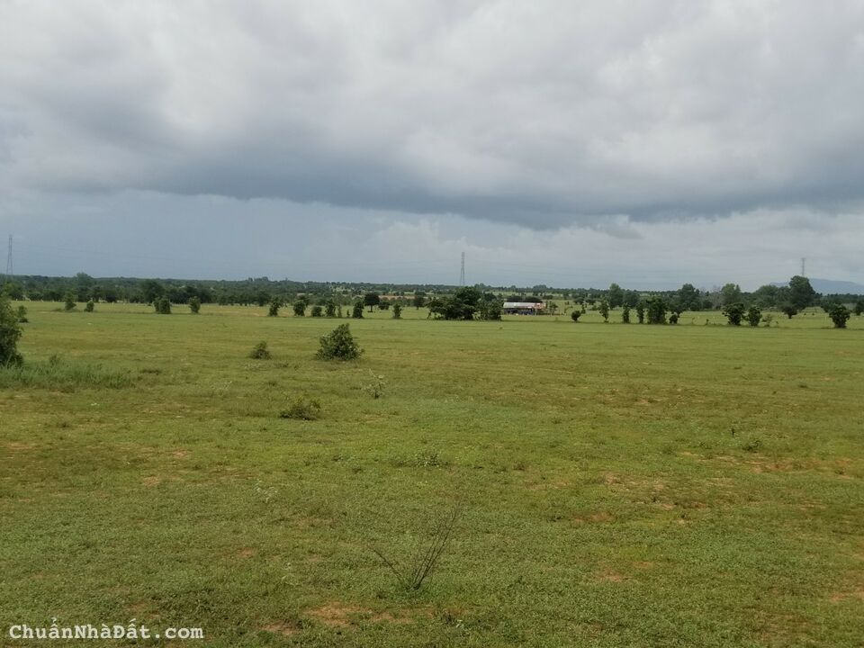 Bán 4599m2 đất vườn hoà thắng sổ vuông có đường, mặt tiền 61m giá ngộp 506tr Lh 0938677909 xem sổ