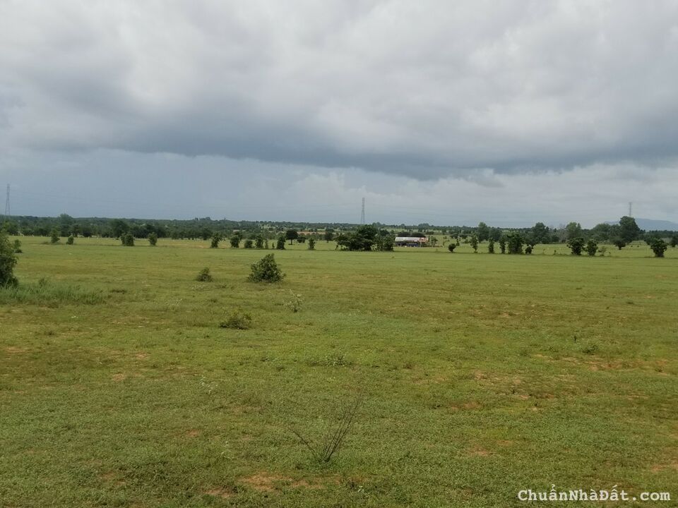 Bán 4861m2 đất sào hoà thắng sổ vuông có đường, mặt tiền 66m giá ngộp 535tr Lh 0938677909 xem sổ