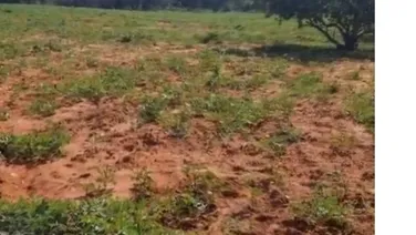 Bán đất CLN phan rí thành ven biển hoà thắng cạnh hồ nước Rạng Đông 1,922m2/ 394tr Lh 0938677909